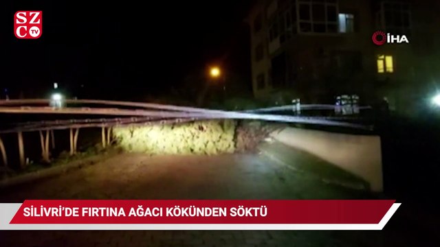 Silivri’de fırtına ağacı kökünden söktü