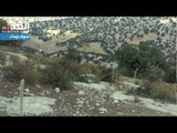محمية اليرموك.. تاج طبيعي يزين شمال الأردن