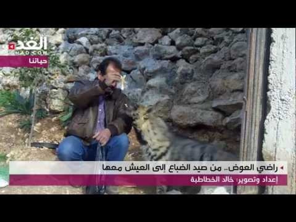 راضي العوض.. من صيد الضباع إلى العيش معها