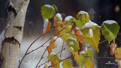 Vivaldi, Winter (Four Season) / Антонио Вивальди, Зима (Четыре сезона)