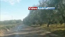 Andria-Canosa di Puglia: buche ed allagamenti sulla deviazione