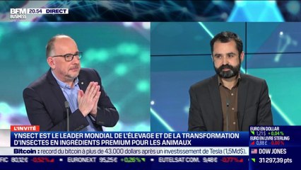 Antoine Hubert (Ynsect) : Ynsect  fait partie de la nouvelle sélection du Next40 - 08/02