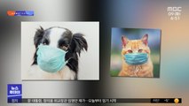 [뉴스터치] 서울시, 개·고양이 코로나19 검사 실시