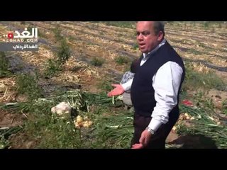 الأغوار الجنوبية.. كنز زراعي يتفشى فيه الفقر والبطالة والبؤس والحرمان