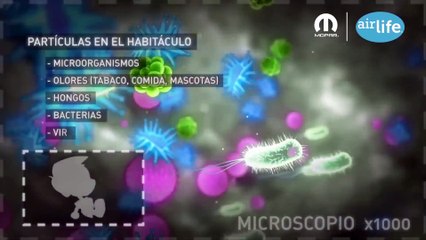 ¿Sabes cómo funciona el sistema Airlife?