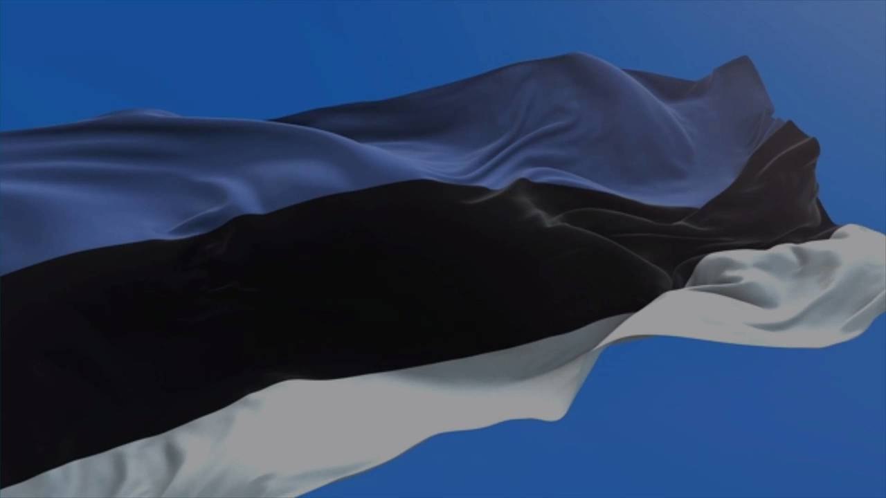 Estonia Lifts Quarantine for Travelers With COVID Vaccine