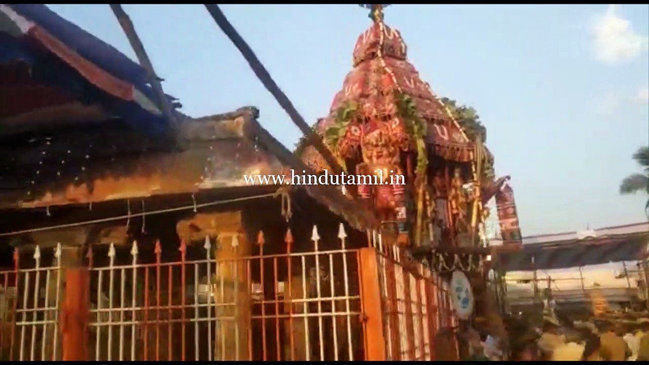 திருவல்லிக்கேணி ஸ்ரீ பார்த்தசாரதி பெருமாள் தேரோட்டம்