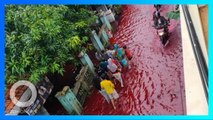 Tanda akhir zaman?! Banjir ‘Darah’ di Pekalongan Disebabkan Pewarna Batik - TomoNews