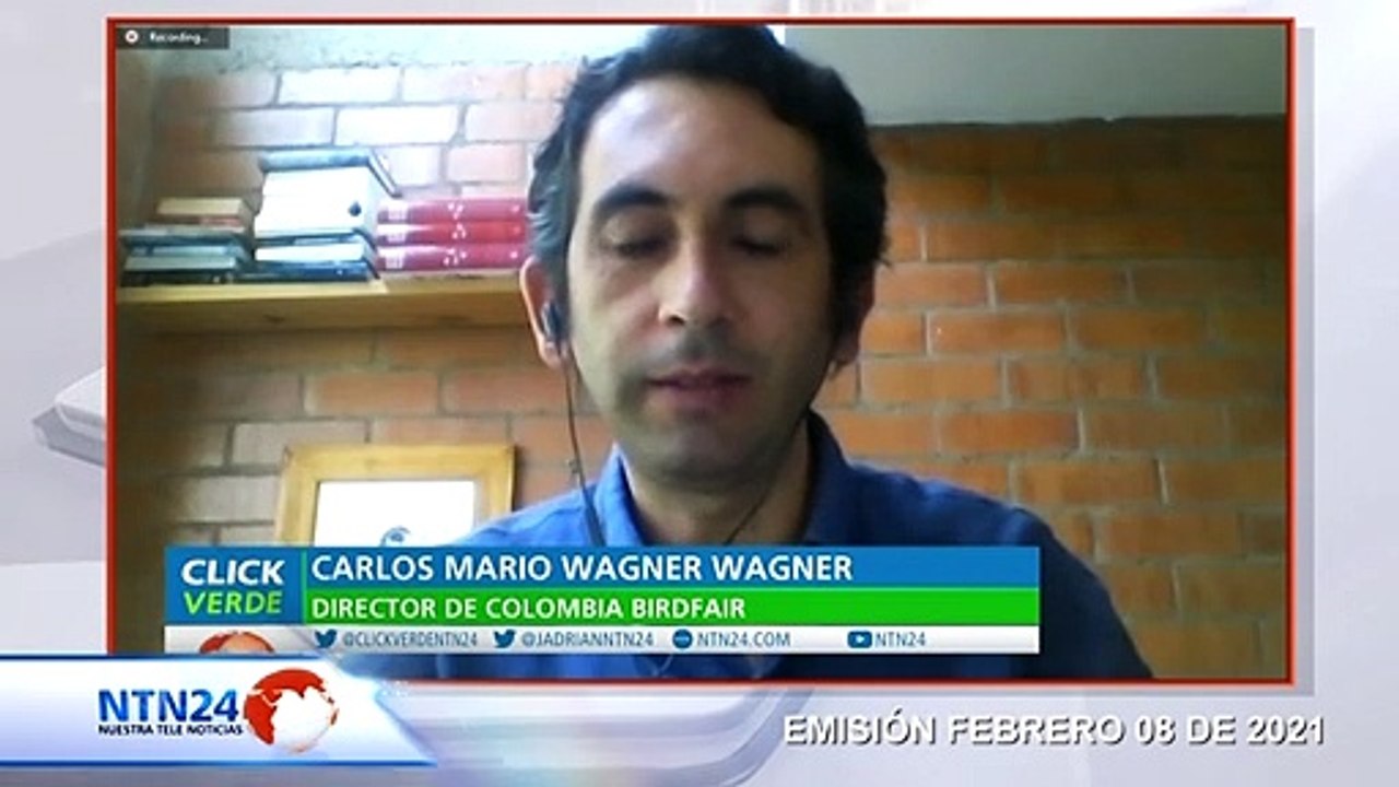 Las aves, uno de los grupos animales más vulnerables y afectados por la extinción masiva de especies