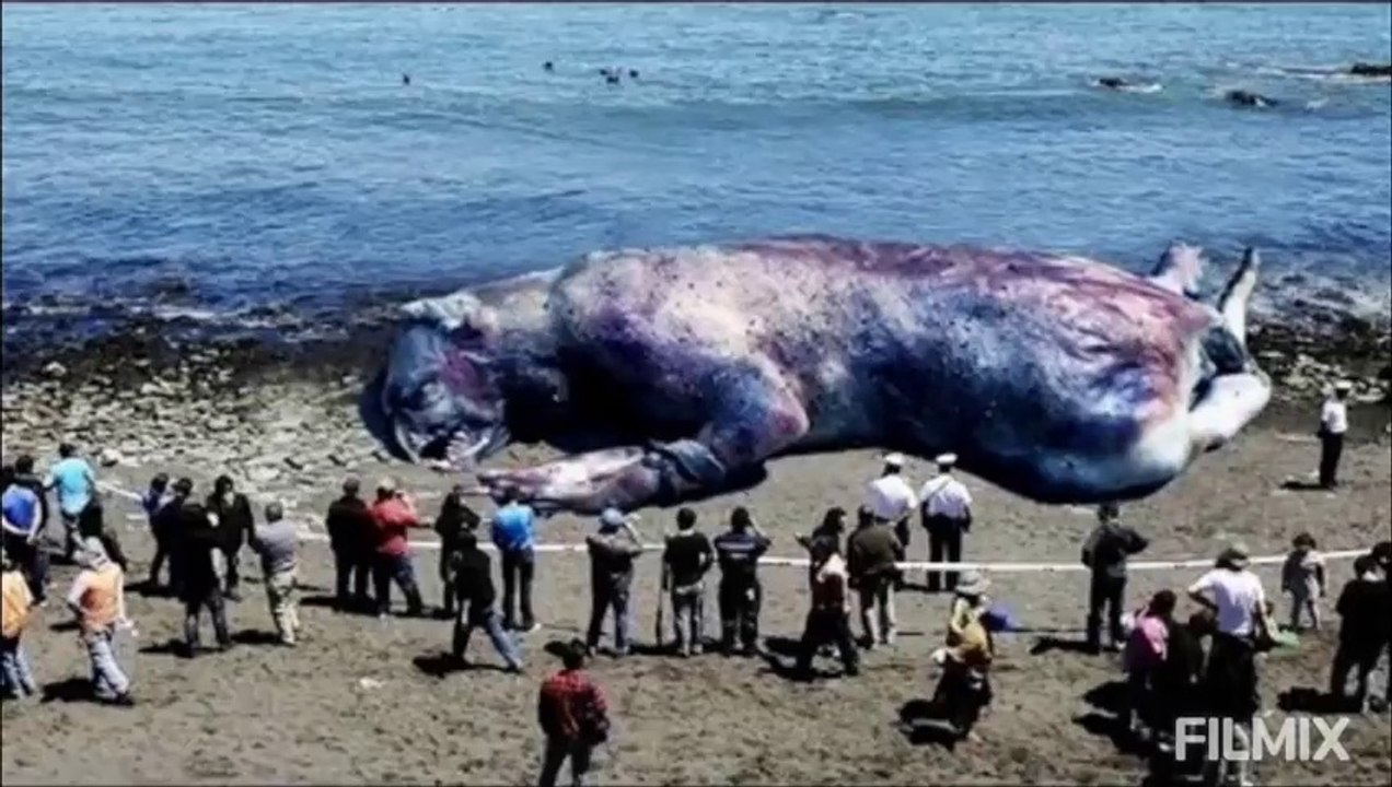 Top 5 Mysterious Gigantic Sea Monster Sightings - 2021 | HollywoodScotty VFX