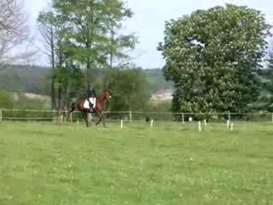 ma clemy et fun