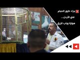 مزاد طيور الحمام في الأردن... هواية وباب للزرق