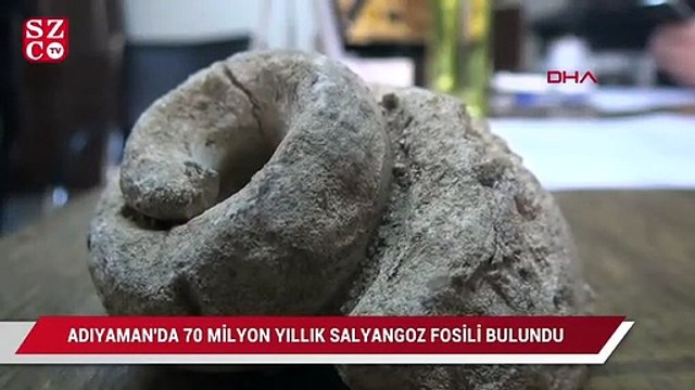 Adıyaman'da 70 milyon yıllık salyangoz fosili bulundu