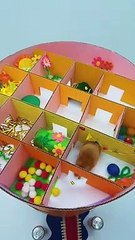 Un labyrinthe géant pour hamster