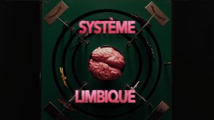 systeme limbique