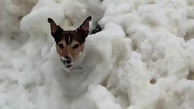 Una extraña espuma cubre las playas del norte de Reino Unido