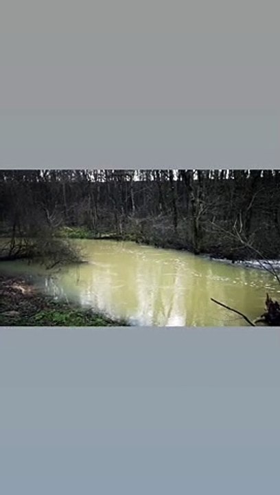 Le lambon qui deborde