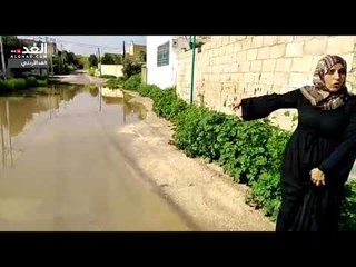 الغور الشمالي: برك الأمطار بالشوارع تهدد حياة الطلبة