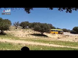 "غابة الهيشة" بمعان.. موقع سياحي طبيعي يتعرض للاستنزاف