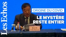 L’animal à l'origine du coronavirus « pas encore identifié », d’après l’OMS