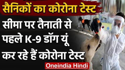 Coronavirus India Update: K-9 Dog कर रहे है सैनिकों की Corona Test | वनइंडिया हिंदी