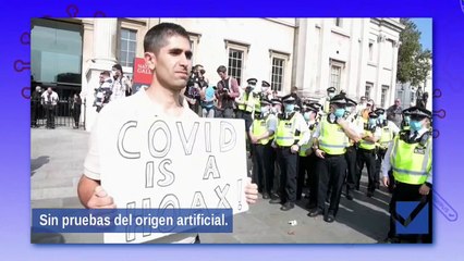 Qué se sabe sobre el origen del coronavirus: las conclusiones de la OMS