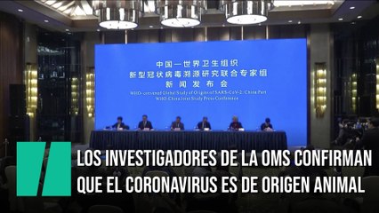 La OMS confirma que el coronavirus es de origen animal