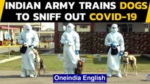 Coronavirus: 2 Indian Army dogs sniff out Covid-19 in seconds: Watch| Oneindia News