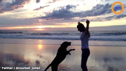 Julien Courbet rend un magnifique hommage à son chien