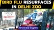 Bird Flu: Avian influenza positive samples found at Delhi Zoo again| Oneindia News
