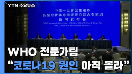 WHO 전문가팀 "코로나19 원인 아직 모른다"...논란 계속될 듯 / YTN