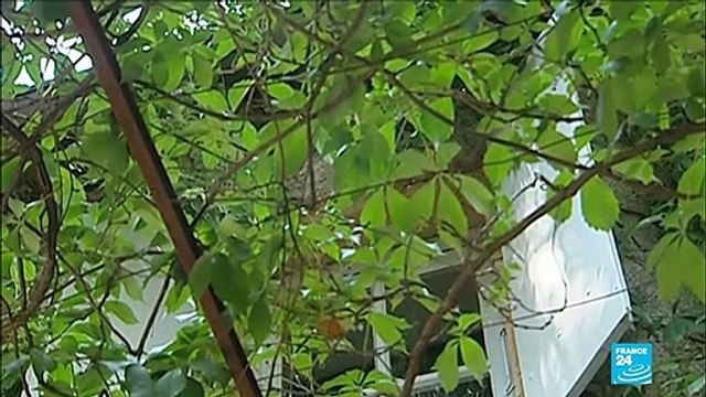 Mort de Jean-Claude Carrière, un conteur entre cinéma et littérature