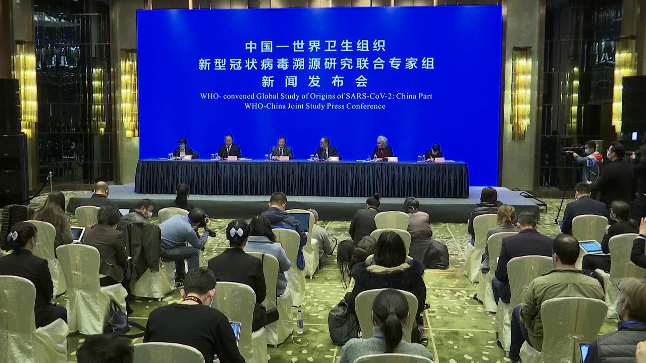 Coronavirus-Spur führt zu Fledermäusen - WHO glaubt nicht an Laborunfall