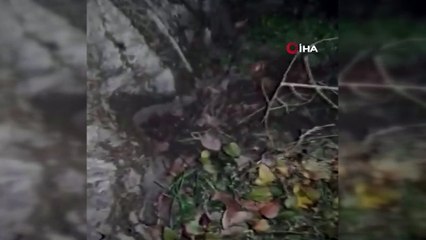 Bursa'da hırsızlık şüphelisi jandarma ekipleri tarafından yakalandı