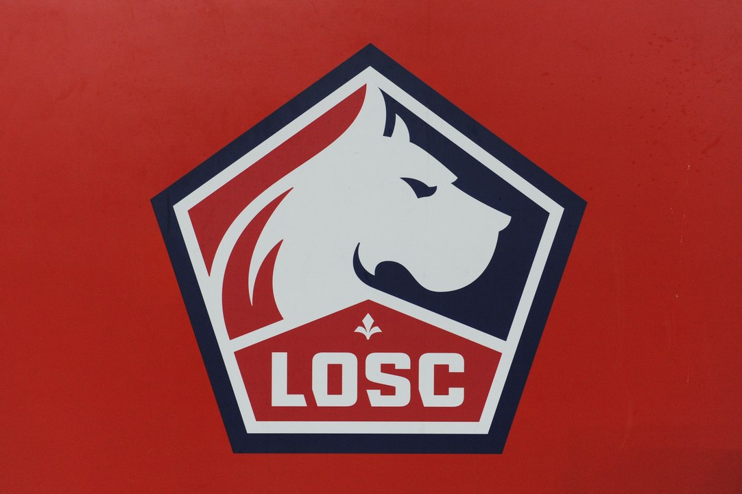 LOSC : le palmarès complet des Dogues