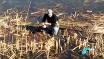 Beyşehir Gölü'nde balıkçı ağına takılan bahri kuşu kurtarıldı