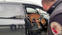 Otomobilin tavanına zulalanmış uyuşturucu narkotik köpeği tarafından bulundu