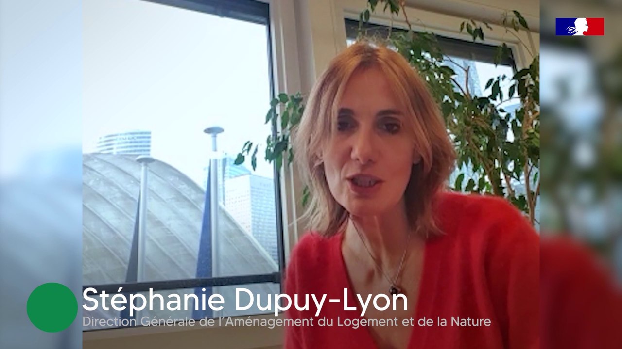 Habiter la France de demain : comment les aménageurs de l'Etat participent au mouvement des villes durables ?