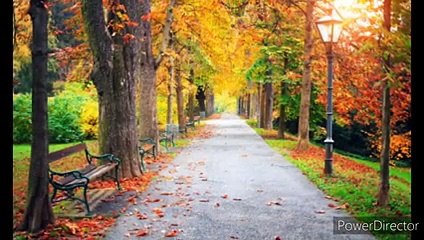 _rauraapan _storyhindi ज्ञान के घमंड ना करे के चाही Raur Aapan Bhojpuri Kahani(240P)