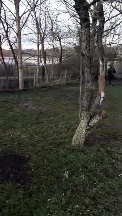 Rain assis / coucher en marche