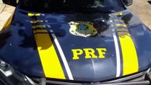 PRF apreende meia tonelada de maconha no Paraná