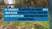 28 arbres plantés au parc des Moulins pour lutter contre les effets du réchauffement climatique
