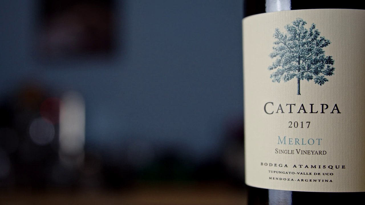 Ein Merlot aus Argentinien von Bodegas Atamisque: Catalpa Merlot - Weinprobe