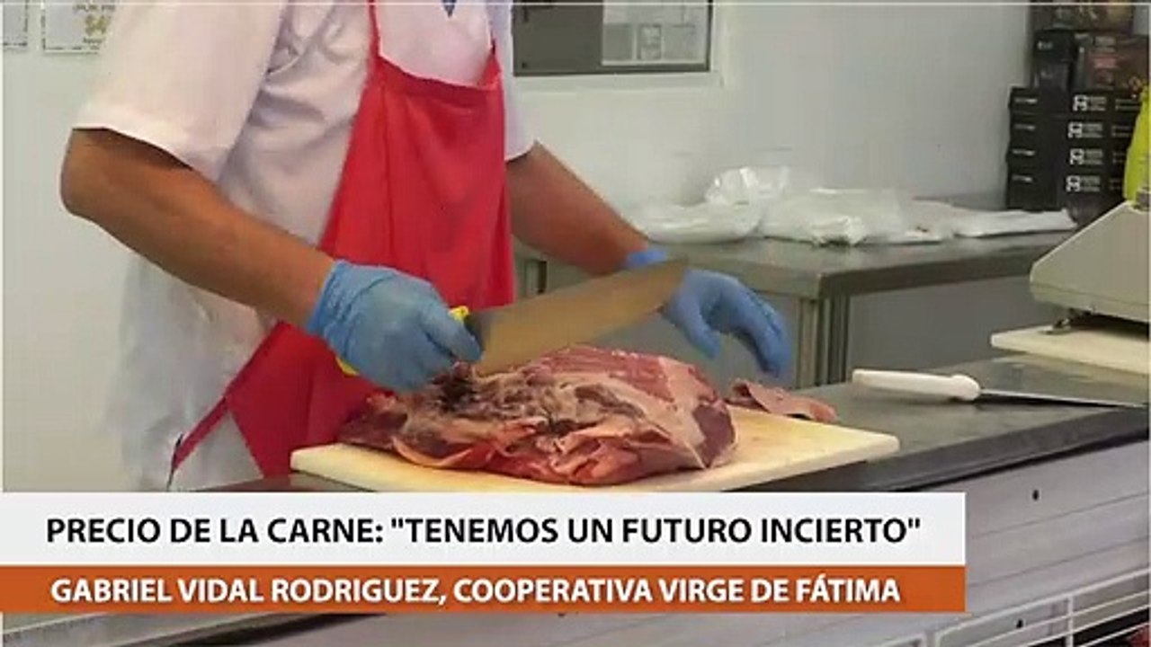 Precio de la carne: "Tenemos un futuro incierto"