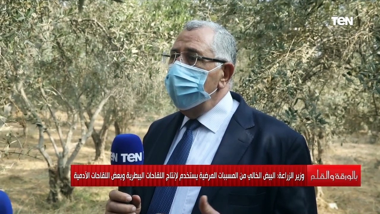 وزير الزراعة: هناك توجيهات بدعم صناعة الزيوت وتقليل فجوة الاستيراد