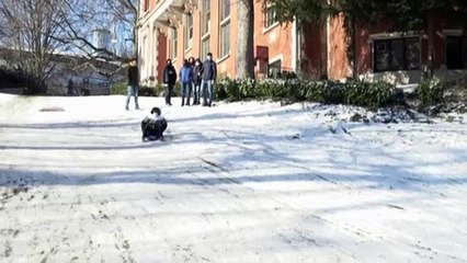 В Старый Свет пришли холода