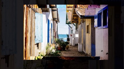Le Bassin d'Arcachon