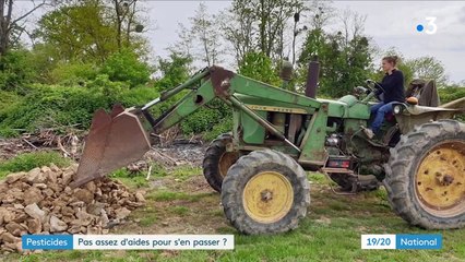 Agriculture : des dysfonctionnements dans l'attribution des aides pour se passer des pesticides ?