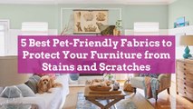 5 Best Pet-Friendly Fabrics to Protect Your Furniture from Stains and Scratches