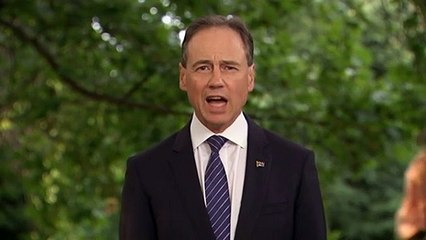 Government pleased with progress at WHO investigation